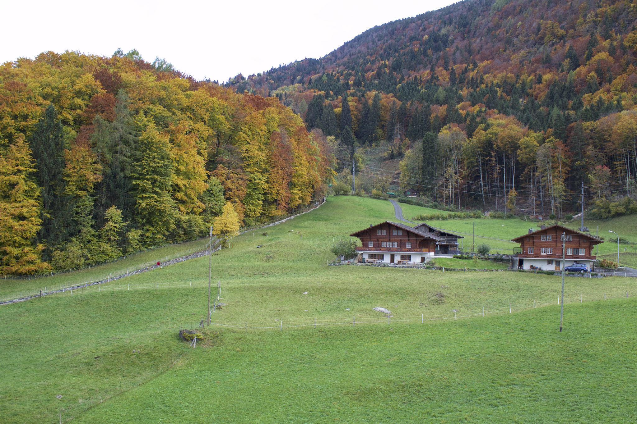 Wilderswil